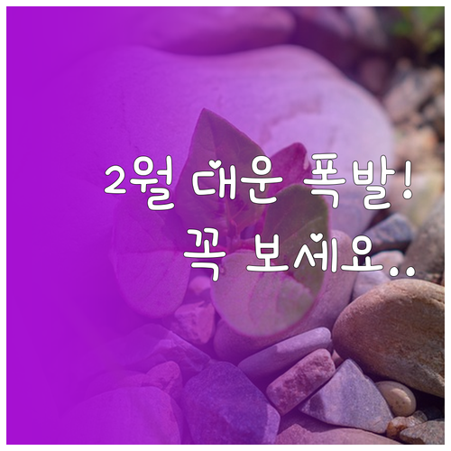 1938년생 어르신 2월 생활 지침 ..