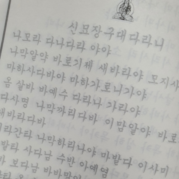 신묘장구대다라니사경속지
