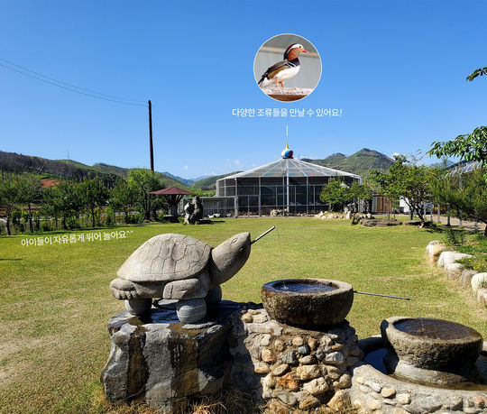 강릉쌍둥이동물농장 아이와 체험 가능한 가족 여행지