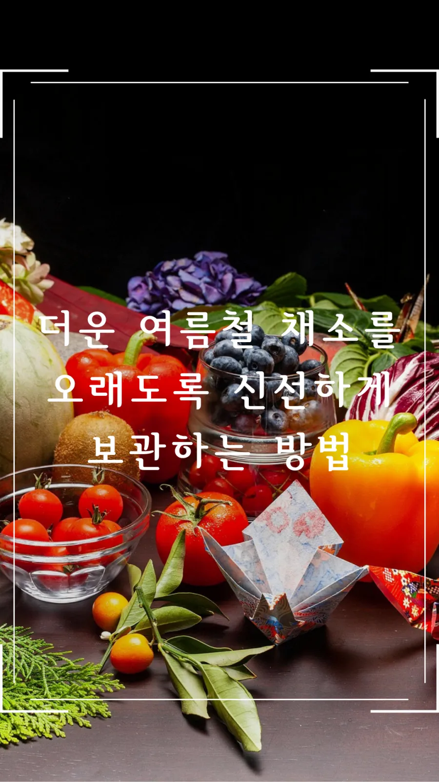 더운 여름철 채소 보관 방법