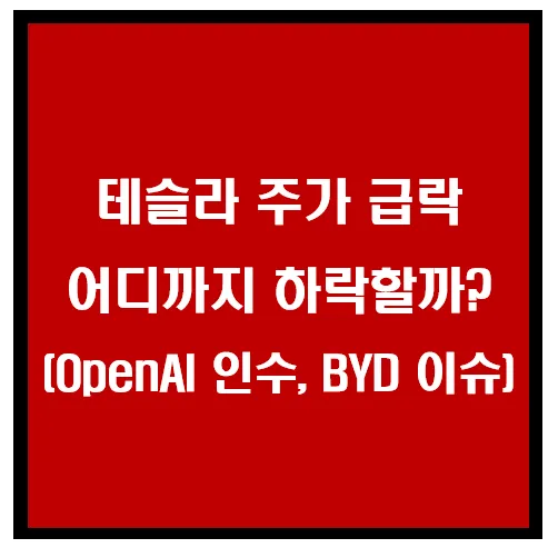 테슬라 주가 급락, 어디까지 하락할까? (Open AI, BYD 이슈) 이미지