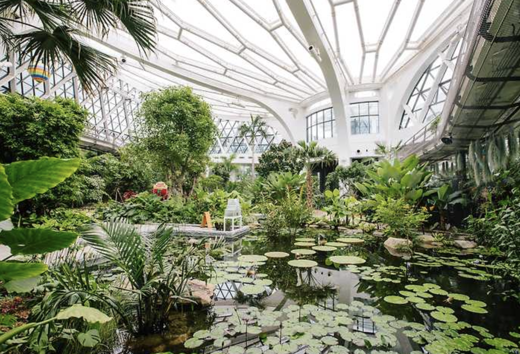 비 오는 날 서울 실내 명소 추천: 폭우에도 즐기는 도심 속 힐링 공간