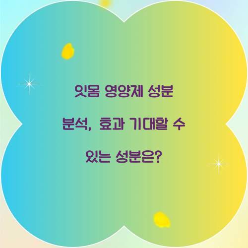 잇몸 영양제 성분