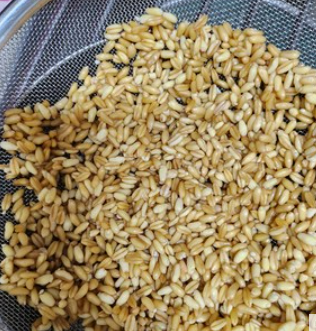 카무트_효능_부작용