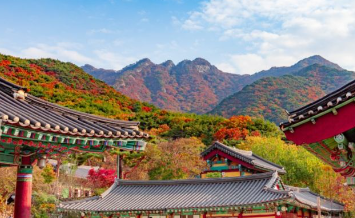 2025 충청도 단풍 명산 코스 추천 ❘ 월악산·계룡산·속리산 절정 시기