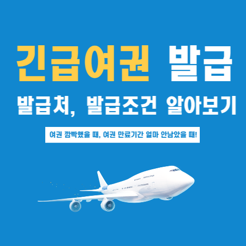 긴급여권발급-썸네일-파란배경-비행기