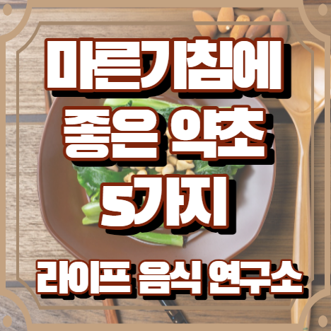 마른기침에 좋은 약초 5가지
