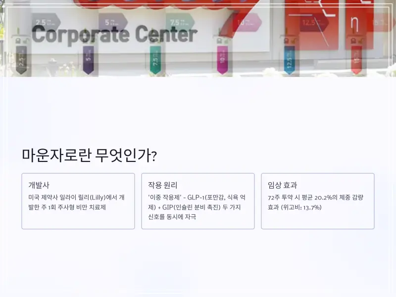 마운자로-가격-2_