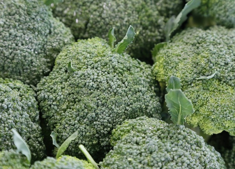 브로콜리 효능｜종류｜제철｜데치기｜브로콜리 보관｜씻는법｜먹는방법