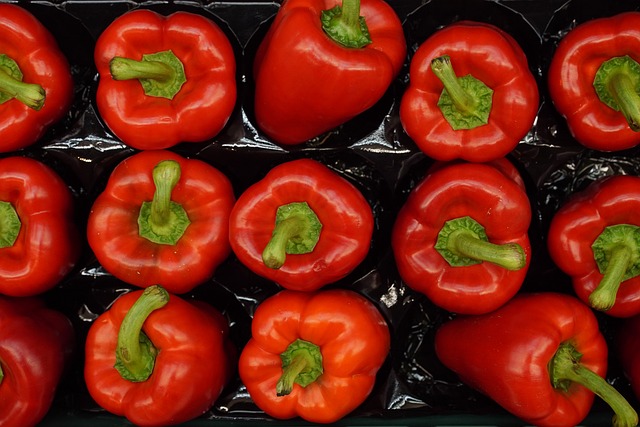 홈플러스 폐점 예정