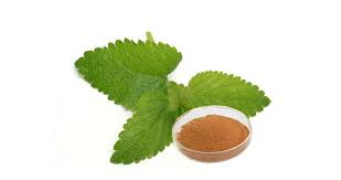 다이어트 보조제 : 레몬밤 추출물