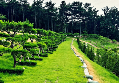 파주 수목장