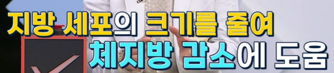 락토페린 효능