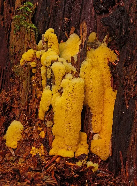 패혈증이란 무엇인지 원인 증상 치료 예방법_9