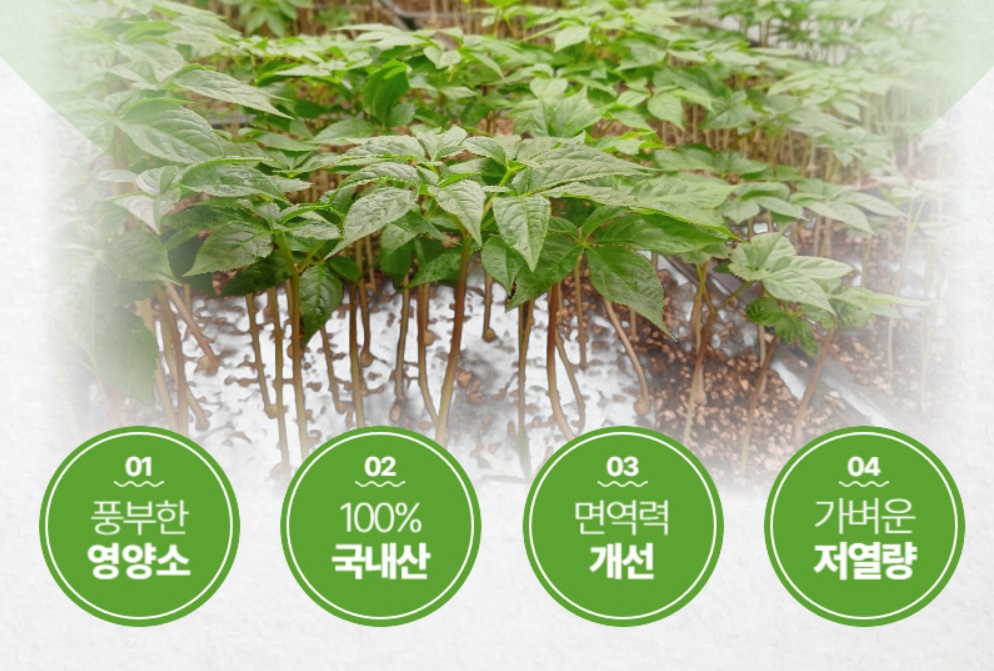 6시내고향-강원-원주-새싹삼-함결농장