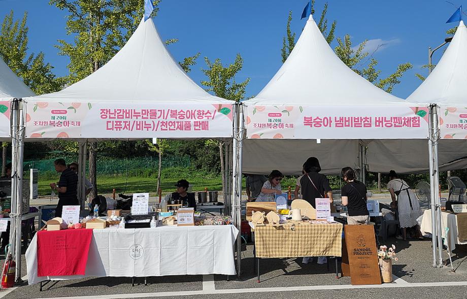 세종 조치원 복숭아축제