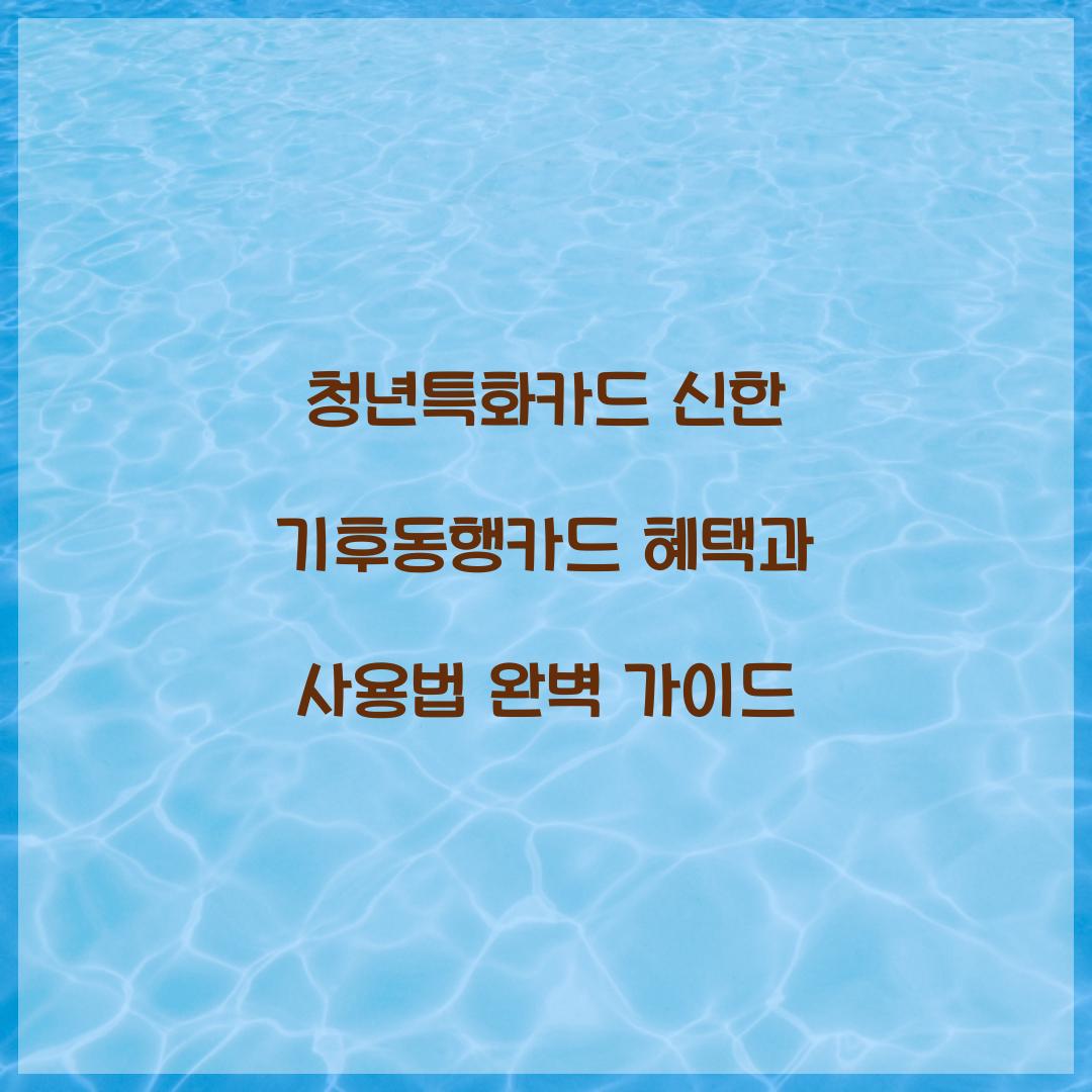 청년특화카드 신한 기후동행카드