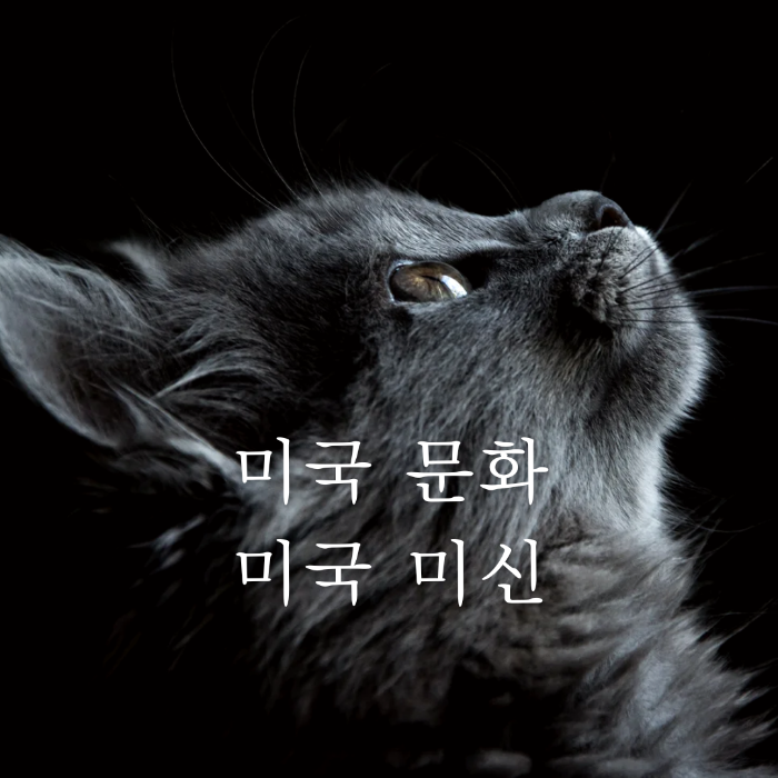 미국 일상 문화에 스며 있는 미신 이야기