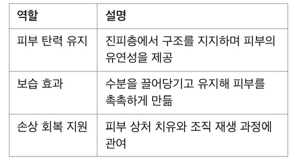 콜라겐의 역할과 설명표
피부 탄력 유지- 진피층에서 구조를 지지하며 피부의 유연성을 제공
보습 효과- 수분을 끌어당기고 유지해 피부를 촉촉하게 만듦
손상 회복 지원- 피부 상처 치유와 조직 재생 과정에 관여