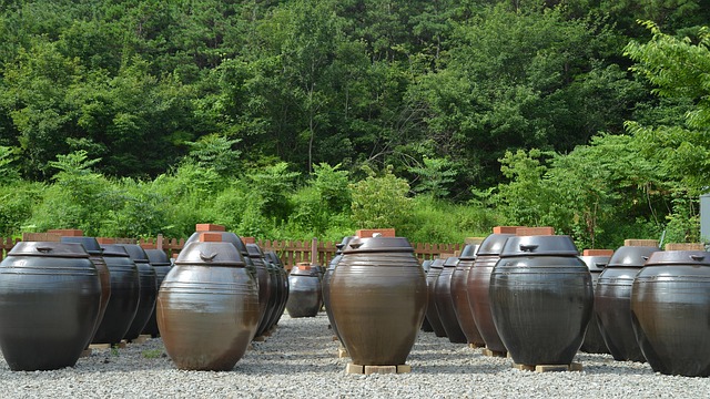 상처에 된장을 바르면 살균된다? 항균 작용 vs 감염 위험 과학적 해설