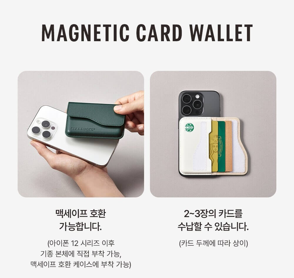 맥세이프 호환
