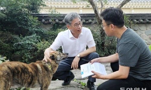 신평 변호사 각종 논란