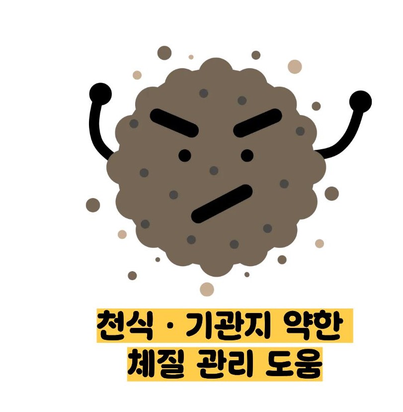 도라지청의 효능