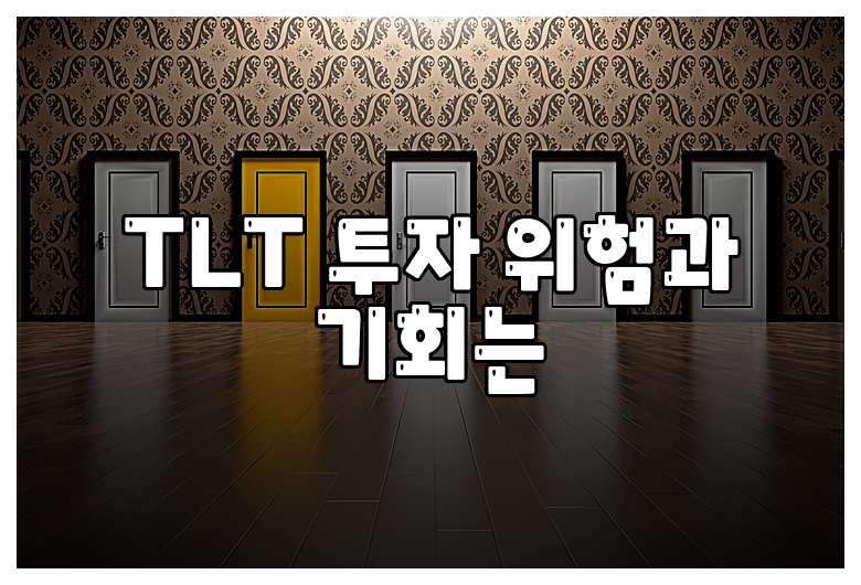 TLT 투자 위험과 기회는