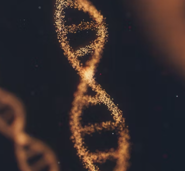 만성 췌장염 증상 치료 원인