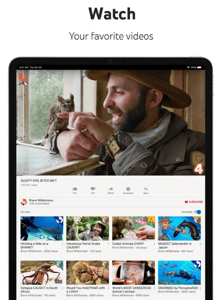 유튜브 앱과 홈페이지 차이점 안내