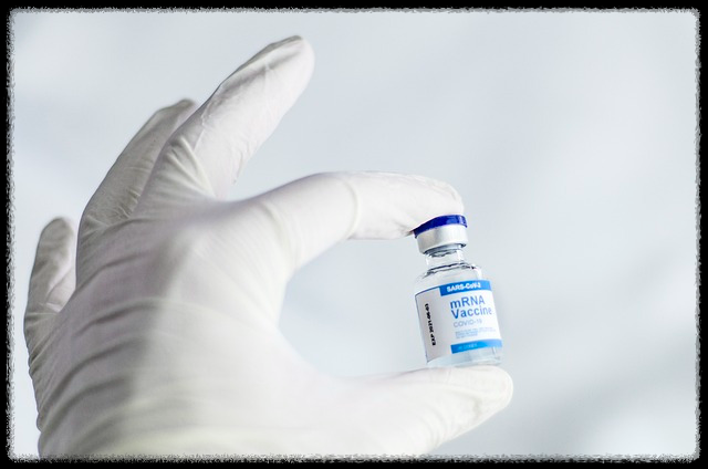 코로나19 접종 병원 안내