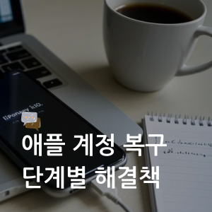 대표이미지 썸네일