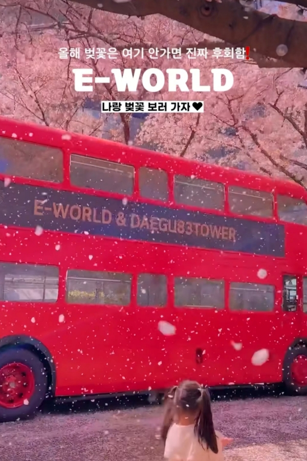 대구 이월드 블라썸 피크닉