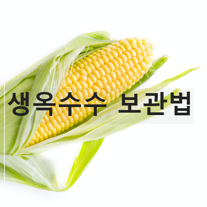 생옥수수 보관법