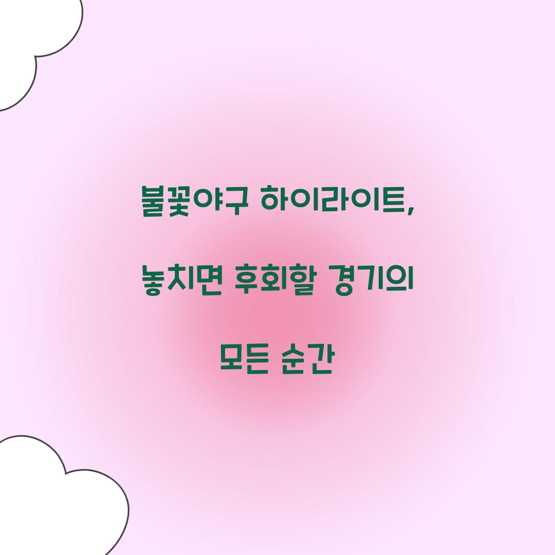 불꽃야구 하이라이트