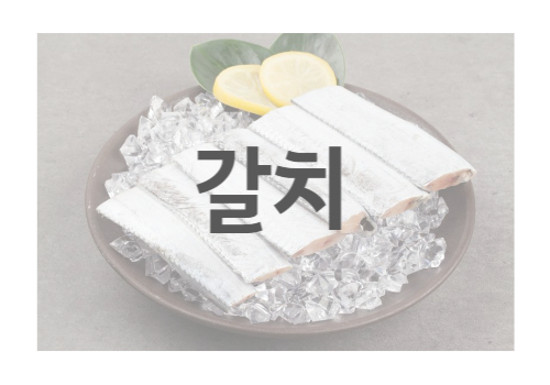 갈치