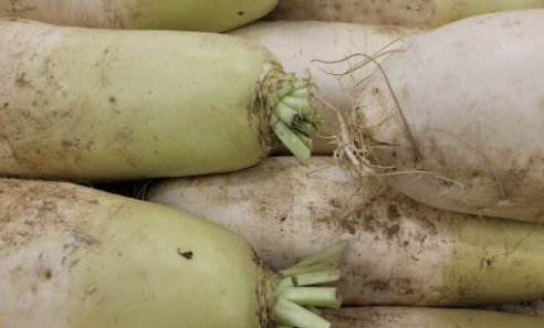 기침에 좋은 음식 차, 기침이 심할때 민간요법 알아보기