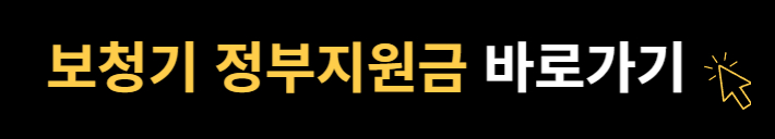 보청기 국가보조금지원