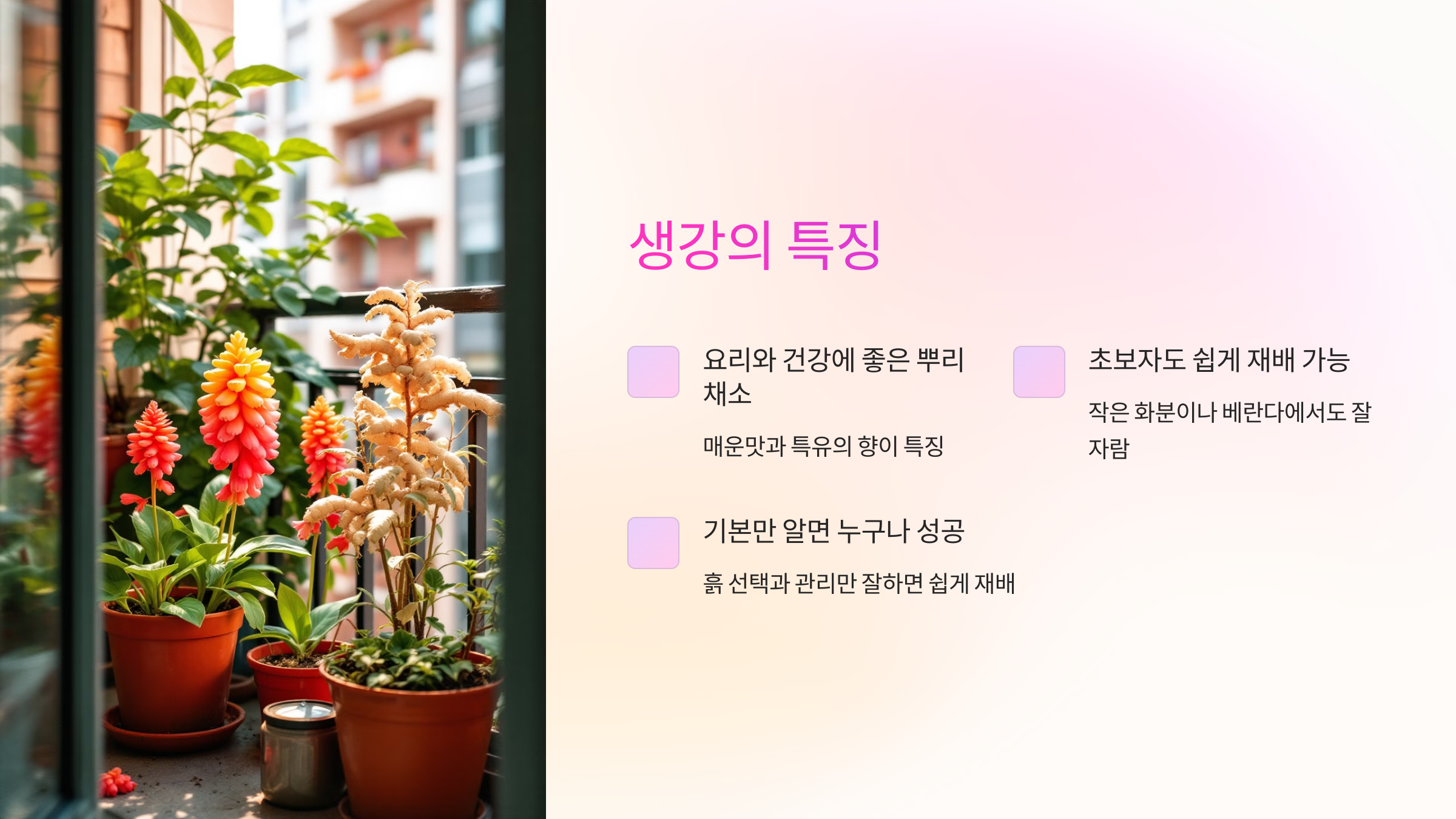 생강의 특징