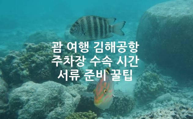 괌여행-수속시간-공항도착-시간