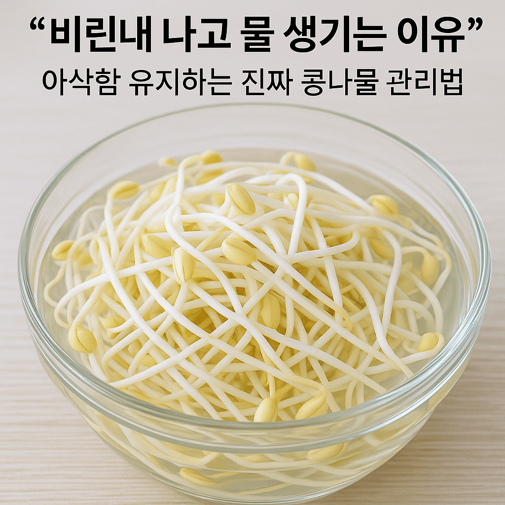 콩나물 보관법, &ldquo;비린내 나고 물 생기는 이유&rdquo;