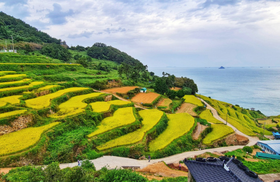 다랭이 마을 사진