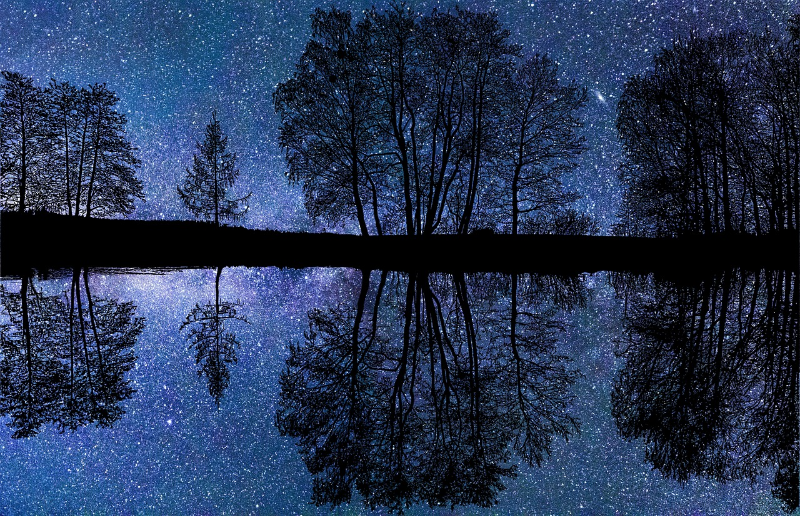 별이 물속에 비치는 꿈