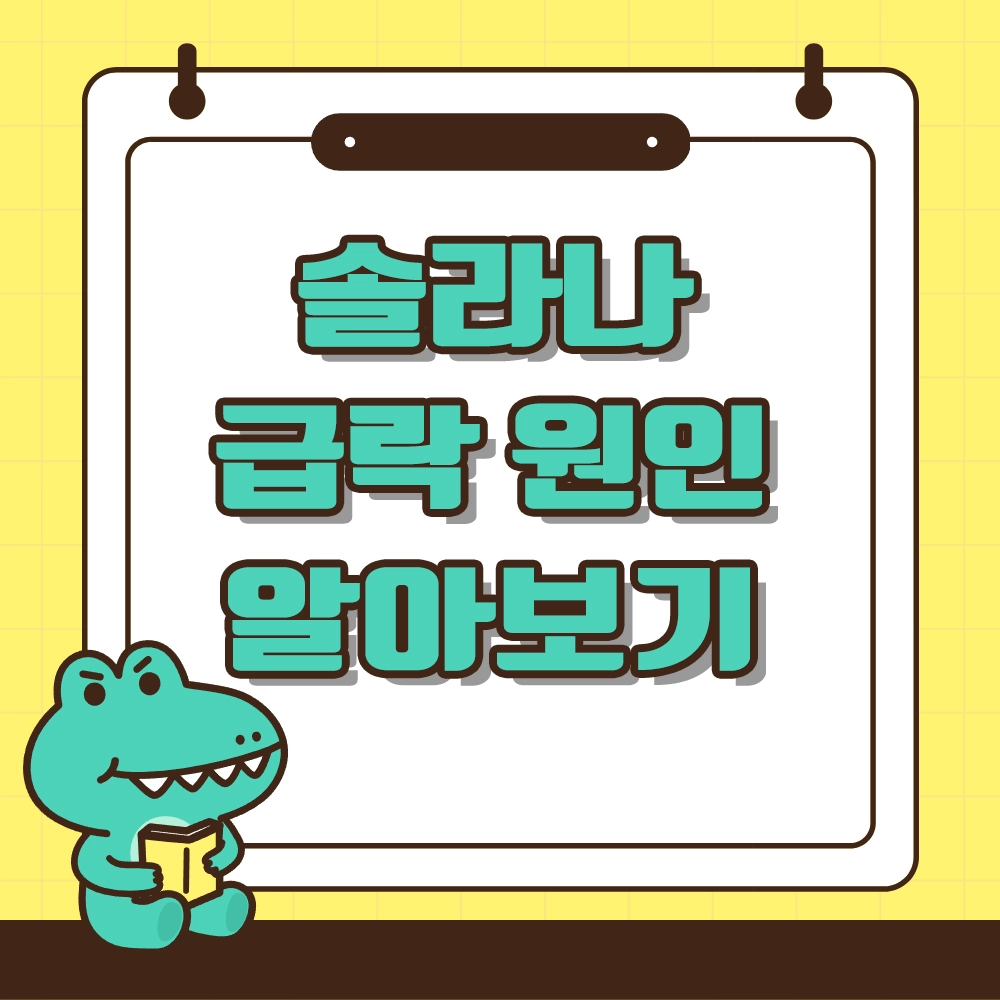 솔라나 급락 원인