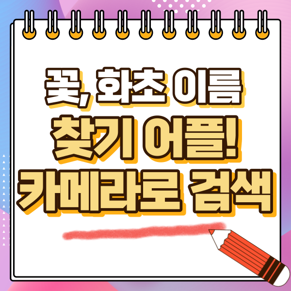 섬네일