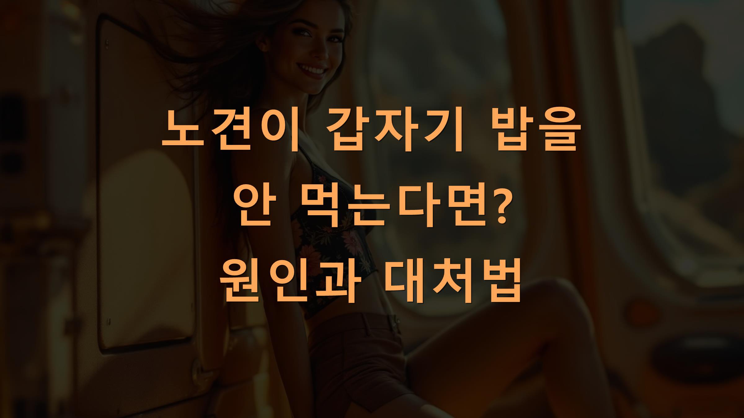 노견이 갑자기 밥을 안 먹는다면? 원인과 대처법