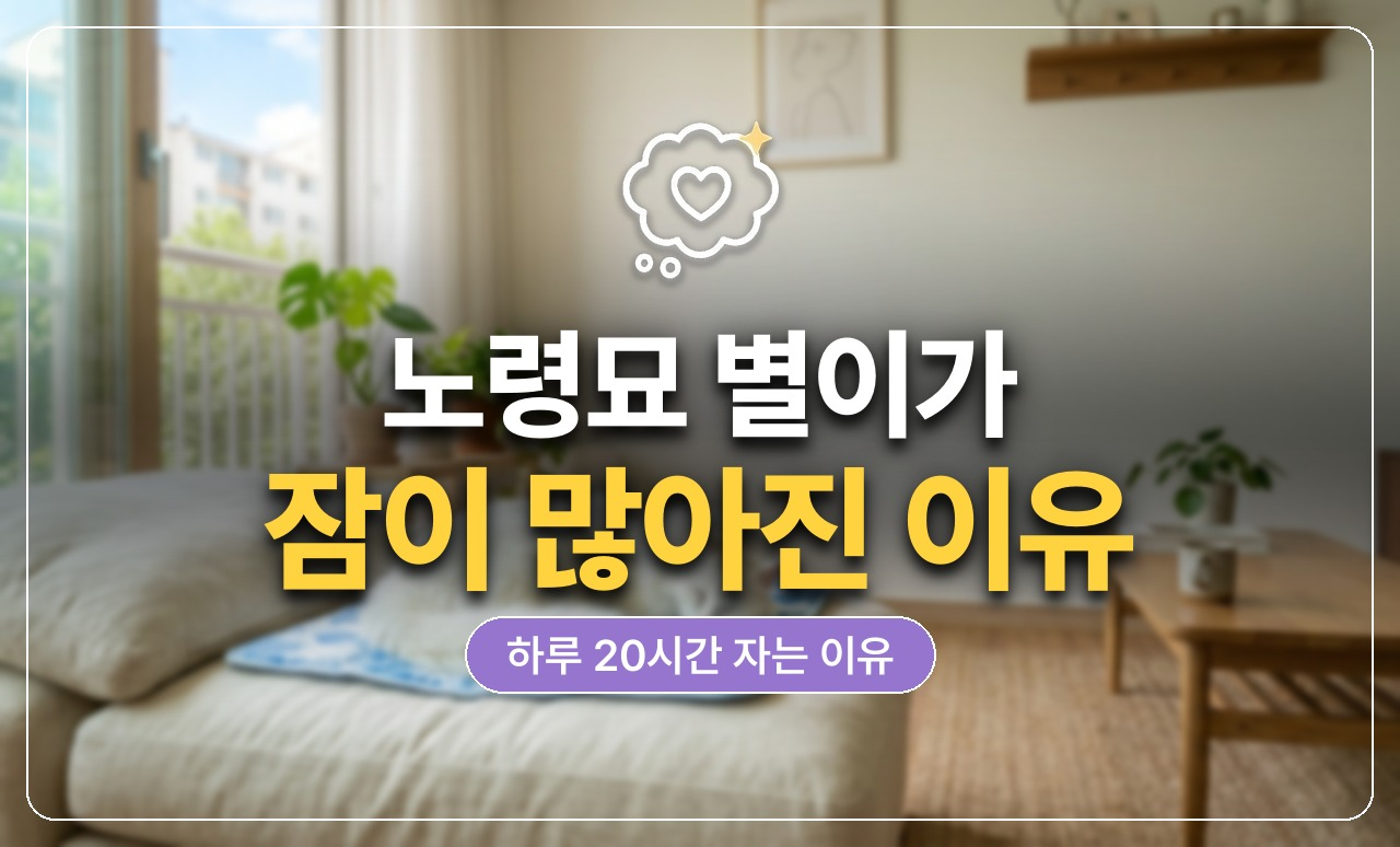 노령묘 수면 시간