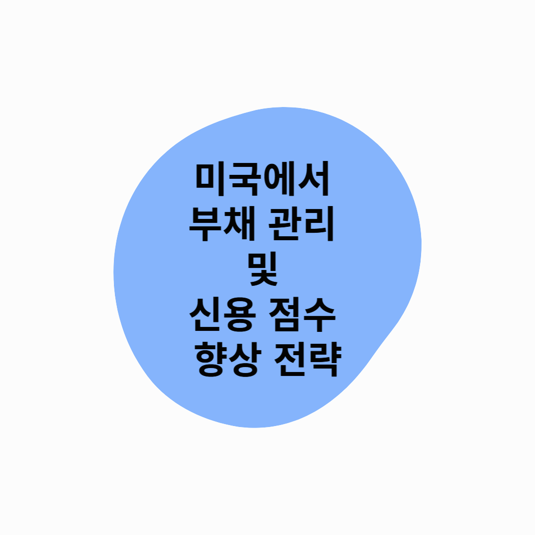 미국에서 부채 관리 및 신용 점수 향상 전략