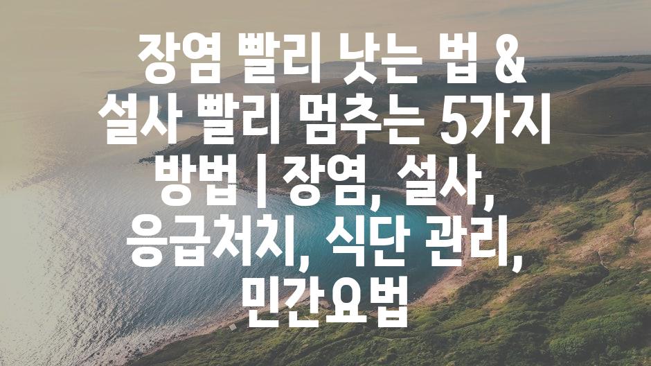 샘플 (11)