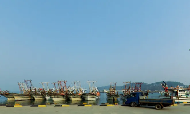 서천-동백꽃-주꾸미-축제-마량항